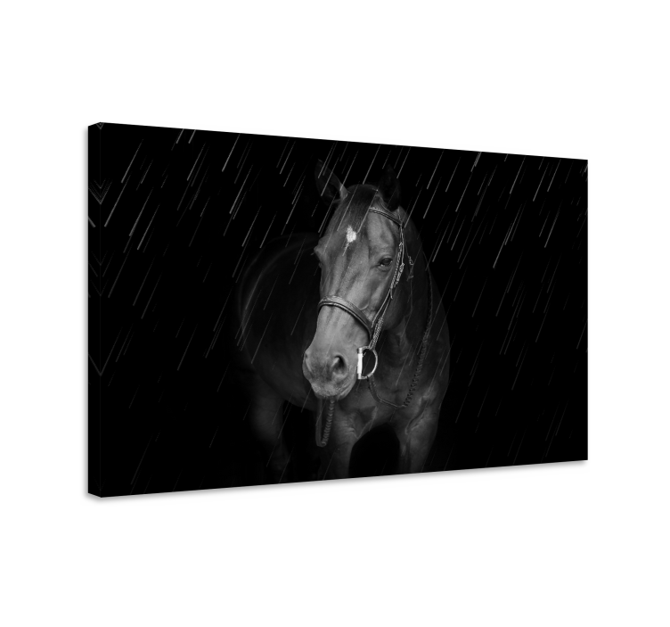 Dipinto con cavallo nero maestoso - TenStickers