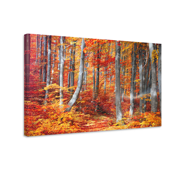 Dipinto di paesaggio sentieri nel bosco d'autunno - TenStickers