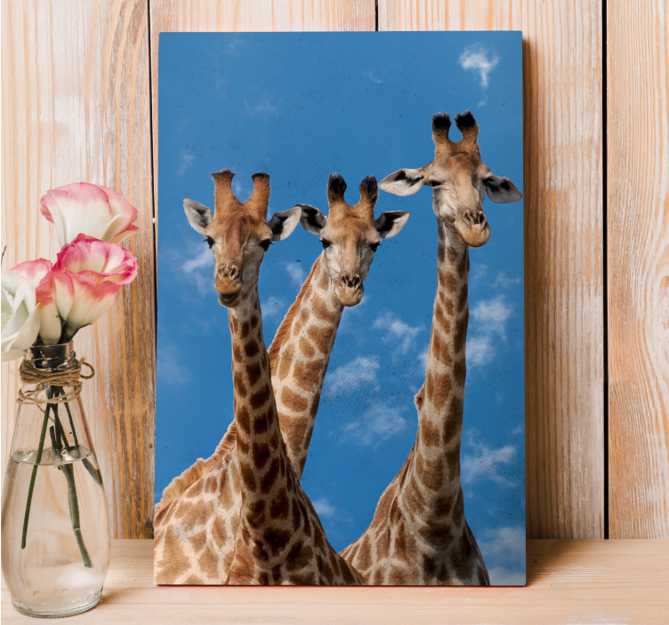 Cornice quadro con animali e insetti ritratto di tre giraffe - TenStickers