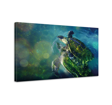 Dipinto con marinaio tartaruga di mare elegante - TenStickers