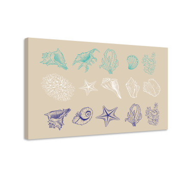 Dipinto con marinaio collezione di conchiglie costiere - TenStickers