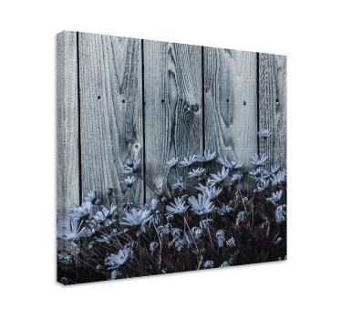 Quadro fiori Fiore margherita su tavola di legno grigio - TenStickers