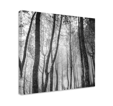 Quadro paesaggio Foresta nebbiosa dall'alto - TenStickers