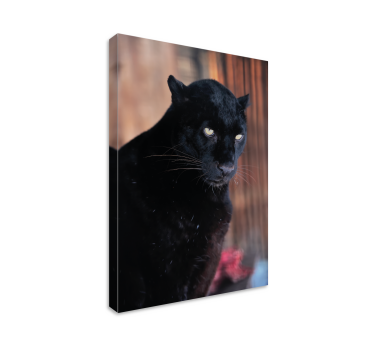 Quadro in 3D Appostamento del leopardo - TenStickers