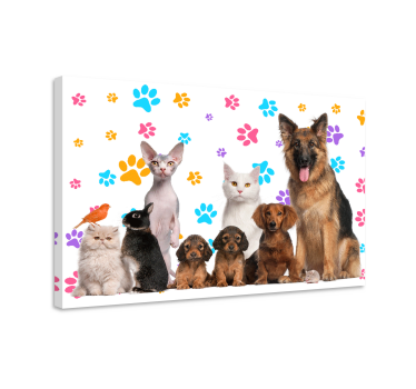 Quadro con animali Cani e gatti - TenStickers