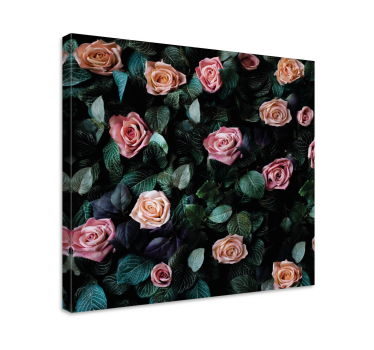 Quadro fiori Fiori di rosa rossa - TenStickers