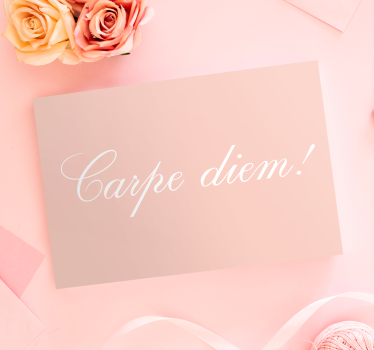 Dipinto con frase cogli l'attimo motivazione - TenStickers
