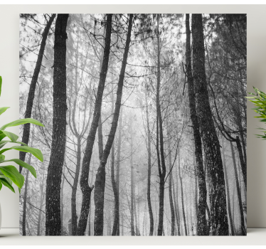 Quadro paesaggio Foresta nebbiosa dall'alto - TenStickers
