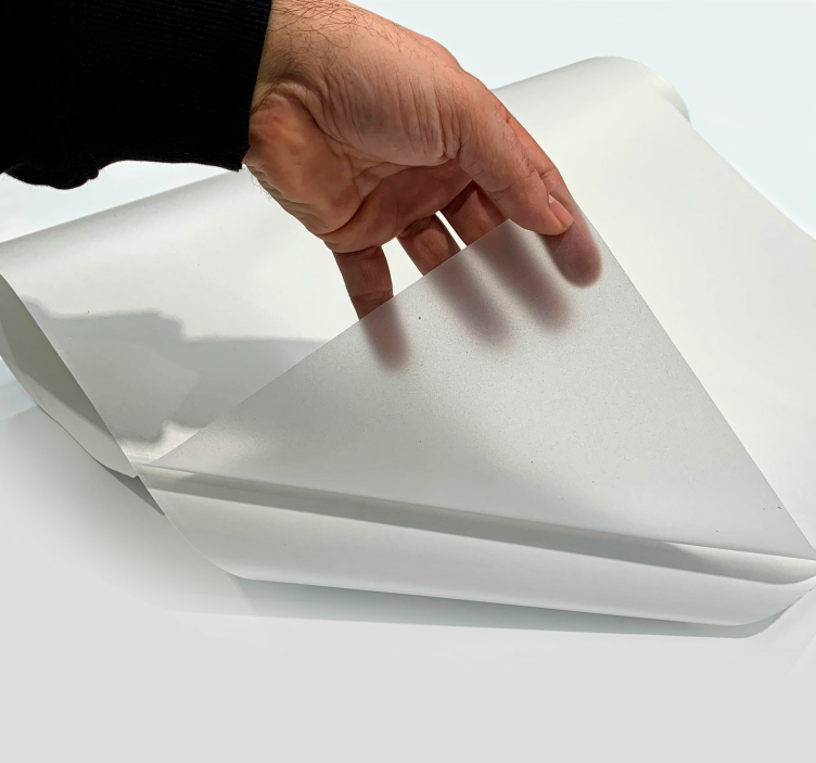 Pellicola adesiva per vetri translucido basico - TenStickers