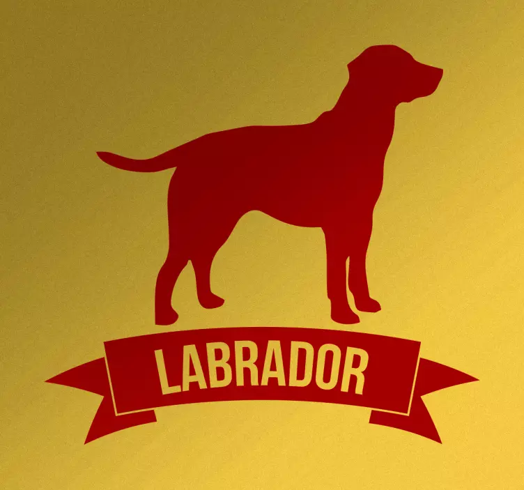 Adesivo decorativo cane labrador - TenStickers