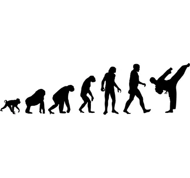 Sticker evoluzione umana karate - TenStickers