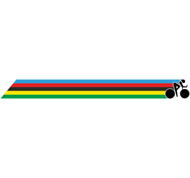 Adesivo per bici colori strisce - TenStickers