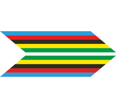 Adesivo per bici con strisce multicolori - TenStickers