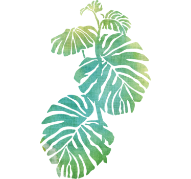 Adesivo decorativo Monstera Deliciosa Acquerello - TenStickers