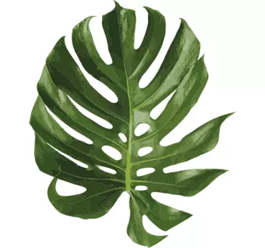 Adesivo decorativo Foglia Monstera Deliciosa - TenStickers