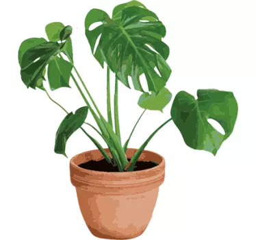 Adesivo decorativo vaso Monstera Deliciosa - TenStickers