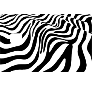 Adesivo carta di credito stampa zebra originale - TenStickers
