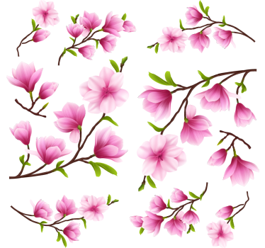 Adesivo per finestra fiori di magnolia colorati - TenStickers