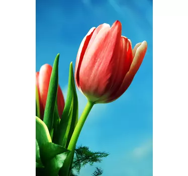 Adesivo contenitore fiori di tulipano bellissimi - TenStickers