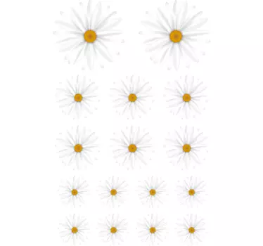 Adesivo murale fiore margherite - TenStickers