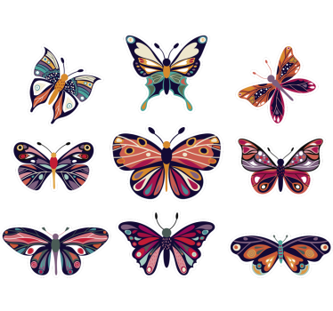 pellicola adesiva per vetri farfalle decorative - TenStickers