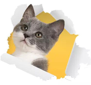 Decorazione parete autoadesivo del gatto 3d - TenStickers