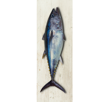 Adesivo per frigo arte realistica del tonno - TenStickers