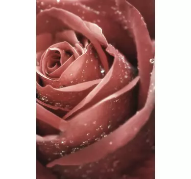 Adesivo per frigo rosa bella in primo piano - TenStickers