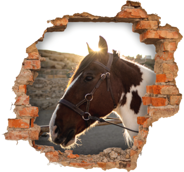 Adesivi animali per bambini cavallo attraverso il muro - TenStickers