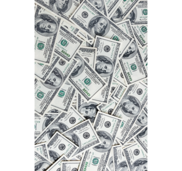 Adesivo per frigo motivo di valuta - TenStickers