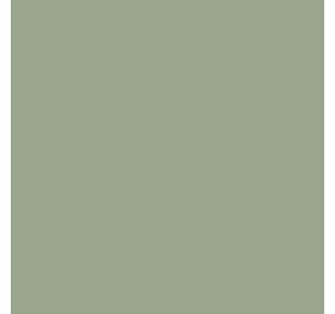 Foglio adesivo monocolore verde salvia - TenStickers