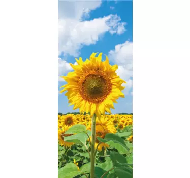 Adesivo per frigo campo di girasoli - TenStickers