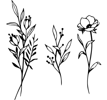 Adesivo decorativo contorni botanici eleganti - TenStickers