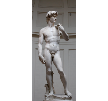 Sticker decorativo David Michelangelo - TenStickers