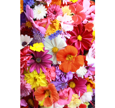 Sticker decorativo fantasia floreale - TenStickers