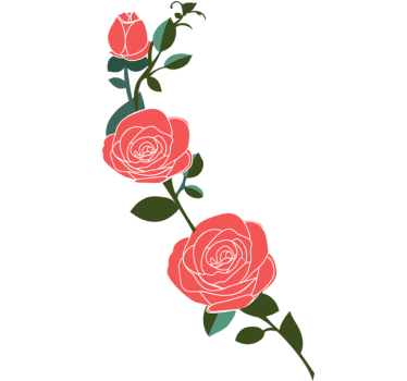 Wall sticker  tre rose - TenStickers