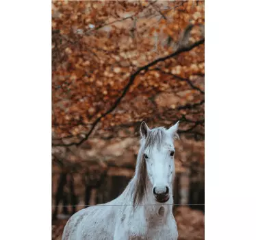 Adesivo per frigo cavallo bianco regale - TenStickers