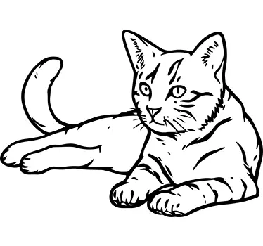 Adesivo muro gatto siamese - TenStickers