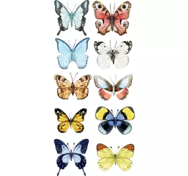 Kit adesivi farfalle color - TenStickers