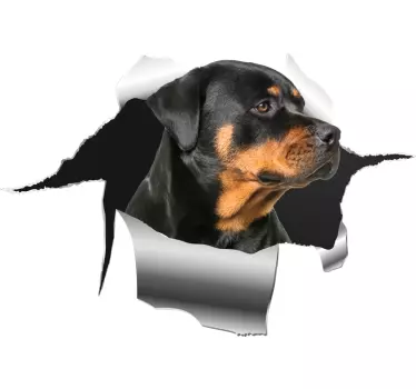 Adesivo animale domestico Adesivo foro rottweiller - TenStickers