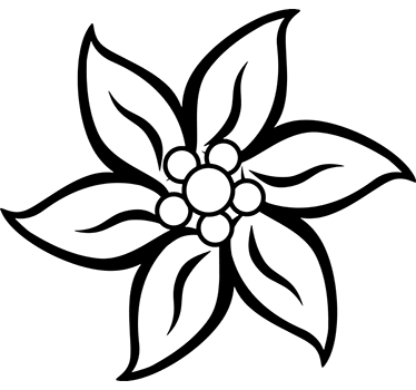 Adesivo decorativo stella alpina - TenStickers
