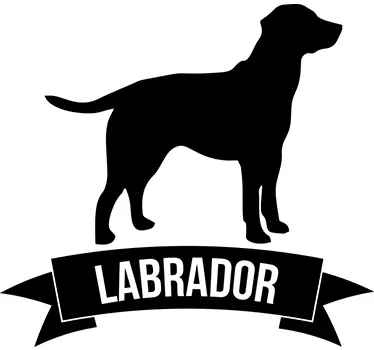 Adesivo decorativo cane labrador - TenStickers