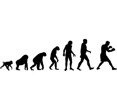 Adesivo decorativo evoluzione pugile - TenStickers