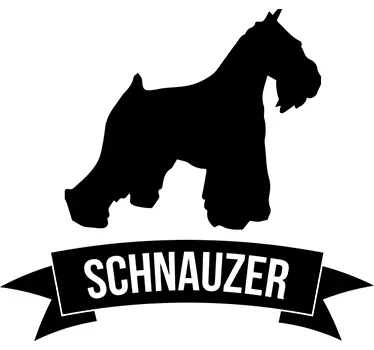 Adesivo decorativo cane Schnauzer - TenStickers