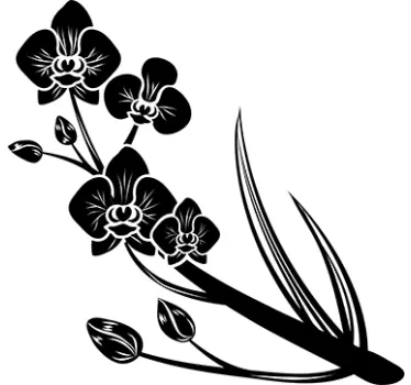 Adesivo murale decorativo orchidee - TenStickers