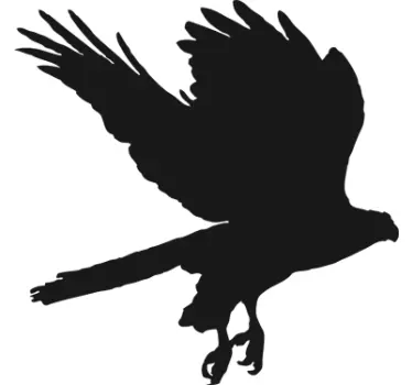 Adesivo murale lavagna silhouette aquila - TenStickers