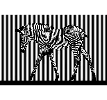 Adesivo murale mimetizzazione zebra - TenStickers