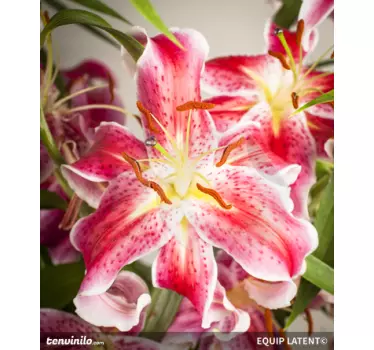 Sticker decorativo dettaglio fiore - TenStickers