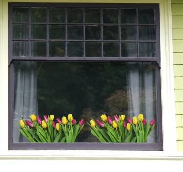 Pellicola vetro fiori tulipani - TenStickers