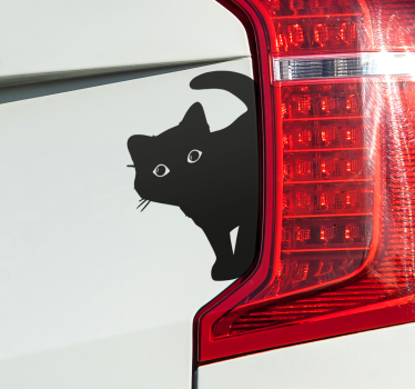 Adesivo per auto gatto curioso - TenStickers